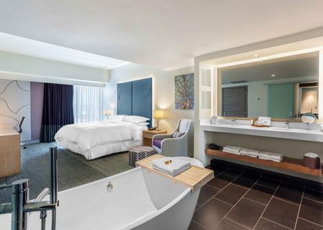 HABITACIÓN PREMIUM SUITE -ELLIPTICAL