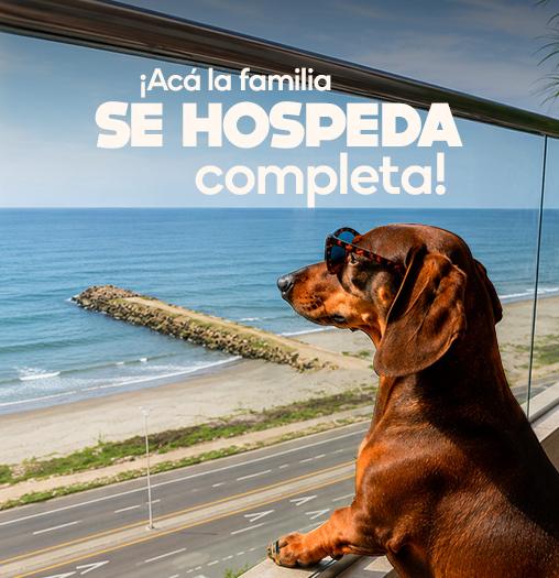 ¡Acá la familia SE HOSPEDA completa! GHL Hoteles ¡Acá la familia SE HOSPEDA completa! GHL Hoteles