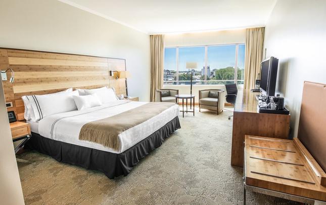 HABITACIÓN ESTÁNDAR KING Sonesta Hotel Osorno Osorno HABITACIÓN ESTÁNDAR KING Sonesta Hotel Osorno Osorno