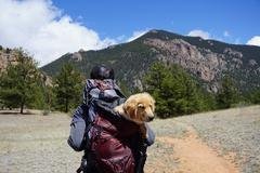 Destinos para viajar con mascotas GHL Hoteles Destinos para viajar con mascotas GHL Hoteles
