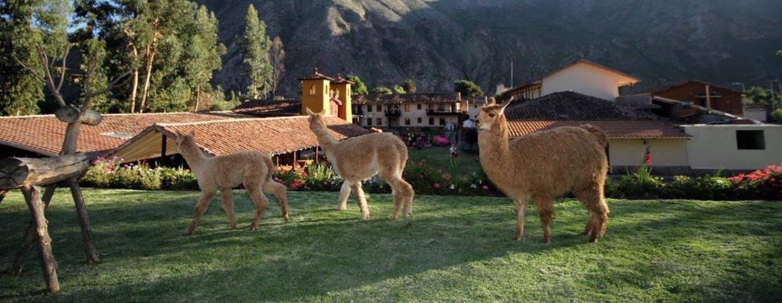 Galería  Sonesta Posadas del Inca Yucay Yucay, Perú