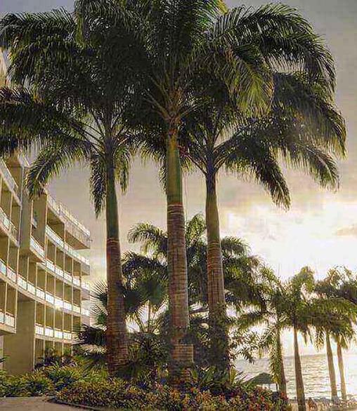 PLAN ALOJAMIENTO Y CENA GHL Hoteles