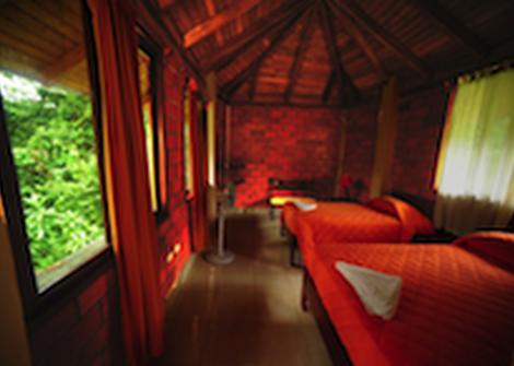 SUITE SUPERIOR Orkidea Lodge Puyo SUITE SUPERIOR Orkidea Lodge Puyo