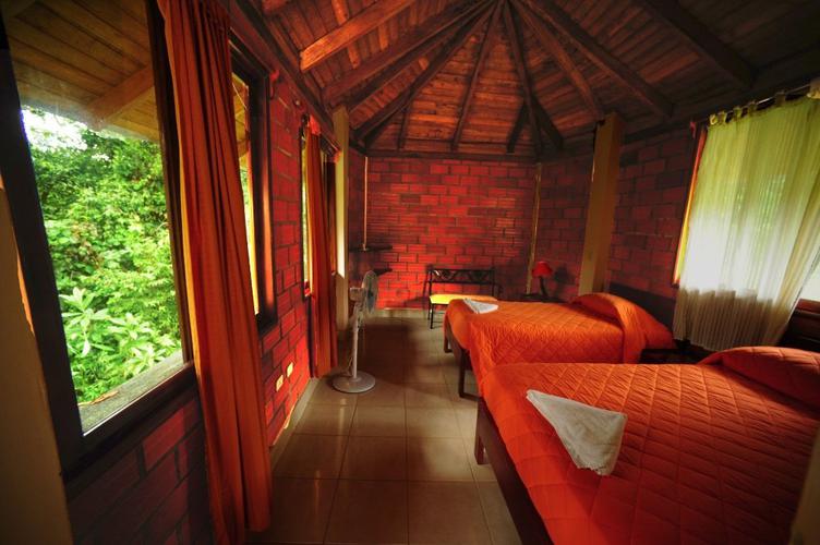 Suite superior orkidea lodge puyo Suite superior orkidea lodge puyo