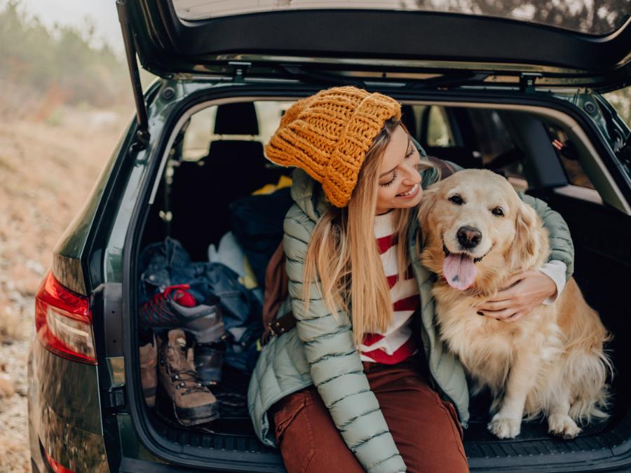 ¿Cómo viajar con tu mascota en carro? GHL Hoteles