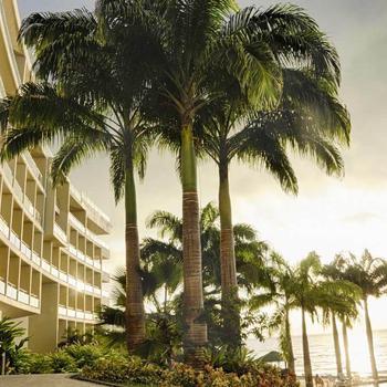 None GHL Relax Hotel Makana Resort Tonsupa None GHL Relax Hotel Makana Resort Tonsupa