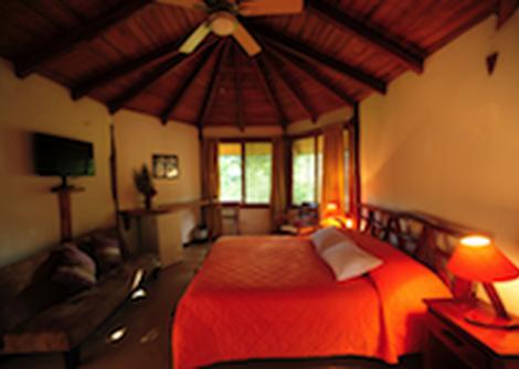 SUITE Orkidea Lodge Puyo SUITE Orkidea Lodge Puyo