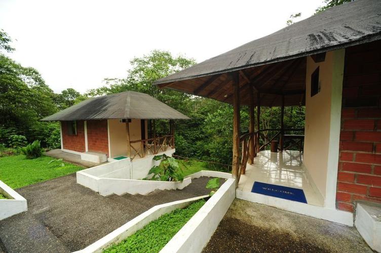 Suite superior orkidea lodge puyo Suite superior orkidea lodge puyo