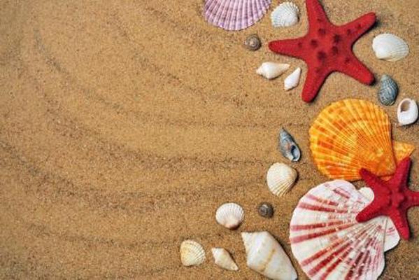 Venta de verano! 25% off! sonesta hotel el olivar lima Venta de verano! 25% off! sonesta hotel el olivar lima