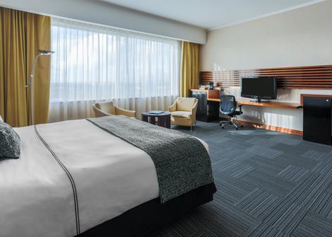 JUNIOR SUITE EXECUTIVE