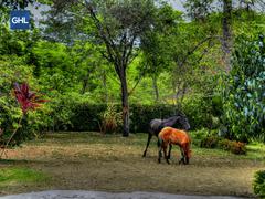 Yopal, Casanaré: El llano colombiano en todo su esplendor GHL Hoteles Yopal, Casanaré: El llano colombiano en todo su esplendor GHL Hoteles