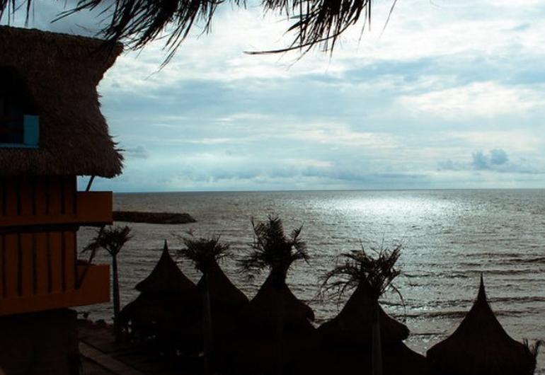 Arbolotes ghl hotel montería Arbolotes ghl hotel montería