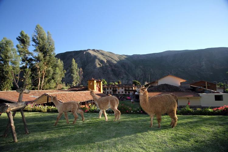 Jardines yucay  Sonesta Posadas del Inca Yucay Yucay, Perú