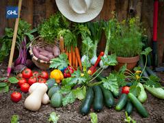 Los productos locales y la agricultura sostenible en América Latina GHL Hoteles Los productos locales y la agricultura sostenible en América Latina GHL Hoteles