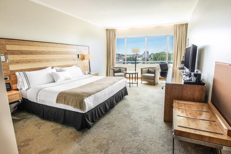 Junior suite king sonesta hotel osorno Junior suite king sonesta hotel osorno