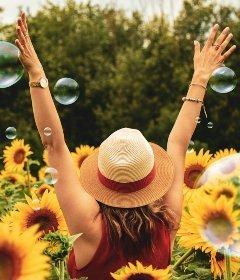 Conselho GHL Hoteis Conselho GHL Hoteis