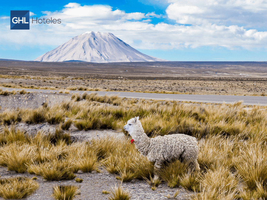 Ganadores del los World Travel Awards en Latinoamérica GHL Hotels Ganadores del los World Travel Awards en Latinoamérica GHL Hotels