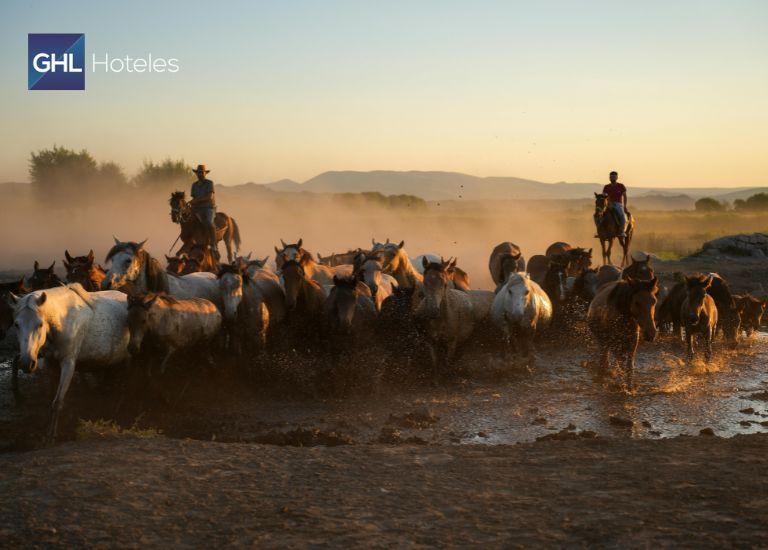 Guía de viaje a Yopal qué hacer, cuánto gastar y consejos personas cuidando ganado en el safari llanero de Yopal